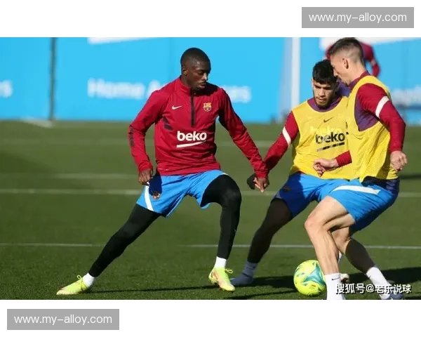 世界杯神奇章鱼预测赛果瞬间走红全球,引发球迷热议与网络狂欢